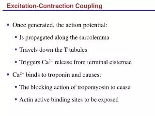 Excitation-Contraction Coupling
