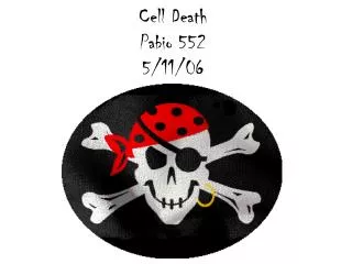 Cell Death Pabio 552 5/11/06
