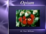 Opium - slide 1
