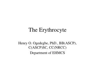 The Erythrocyte
