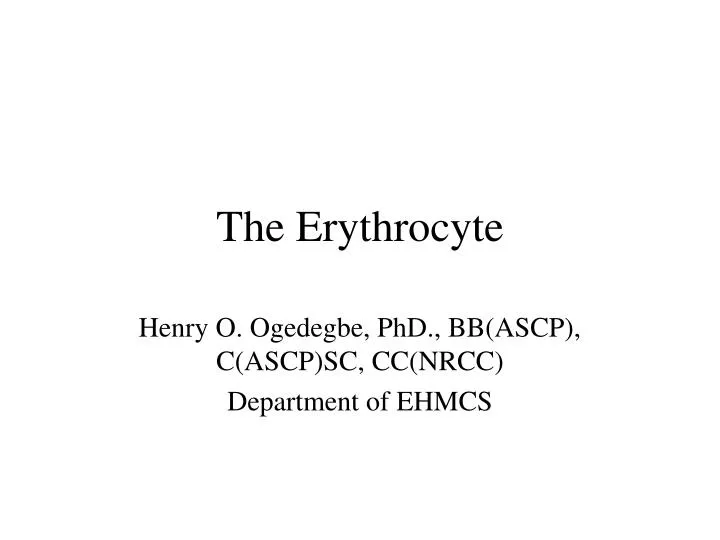 the erythrocyte