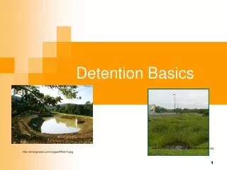 Detention Basics