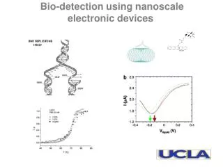 Bio-detection using nanoscale electronic devices