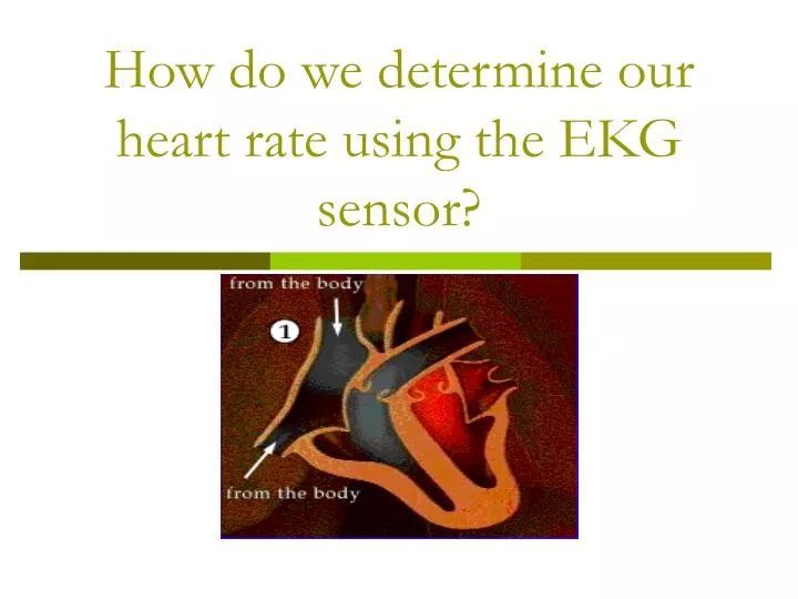 how do we determine our heart rate using the ekg sensor