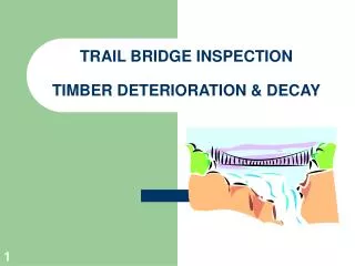 TRAIL BRIDGE INSPECTION TIMBER DETERIORATION &amp; DECAY