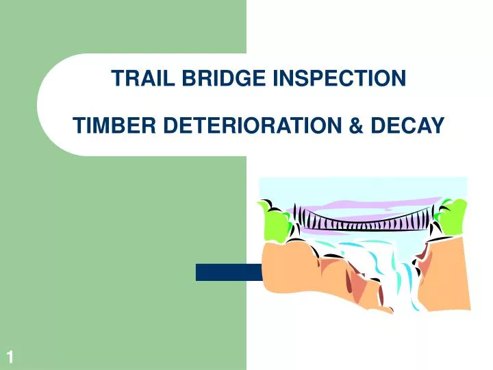 trail bridge inspection timber deterioration decay