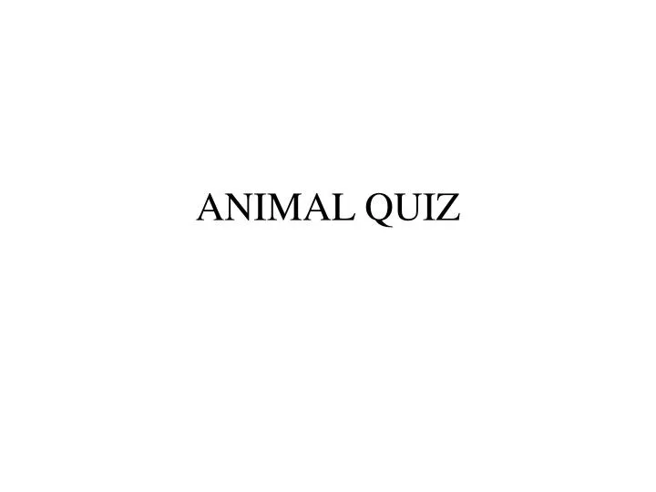 animal quiz
