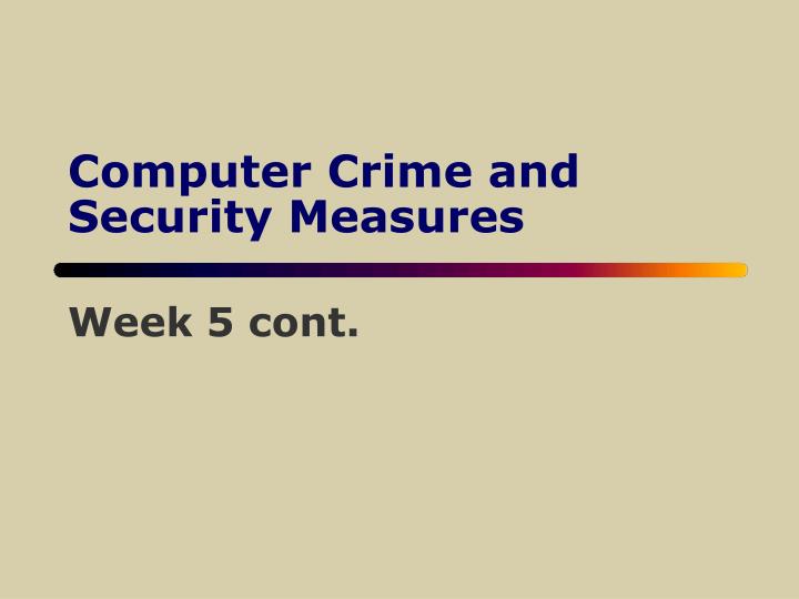 computer crime and security measures