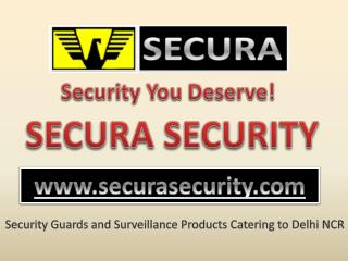 Personal Security Officer Services