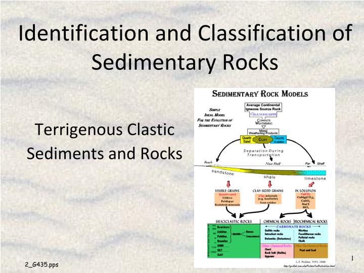 identification and classification of sedimentary rocks