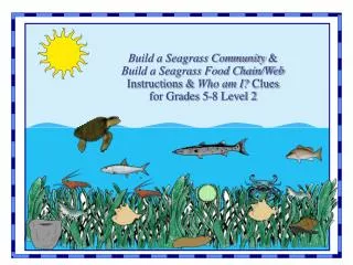 Build a Seagrass Community &amp; Build a Seagrass Food Chain/Web Instructions &amp; Who am I? Clues for Grades 5-8