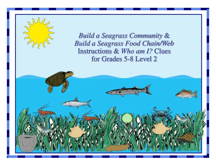 PPT - Build a Seagrass Community & Build a Seagrass Food Chain/Web ...