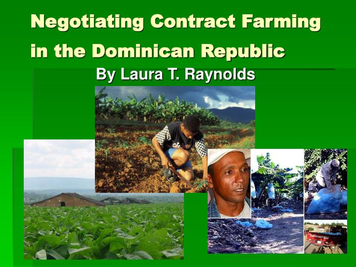 negotiating contract farming in the dominican republic