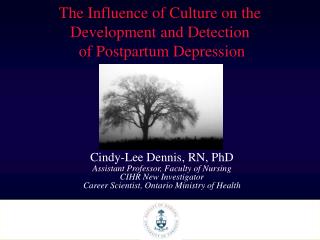 The Influence of Culture on the Development and Detection of Postpartum Depression