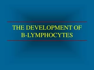 THE DEVELOPMENT OF B-LYMPHOCYTES