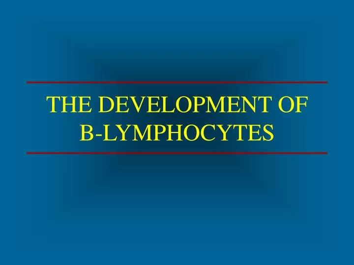 the development of b lymphocytes