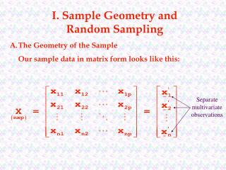 I. Sample Geometry and Random Sampling