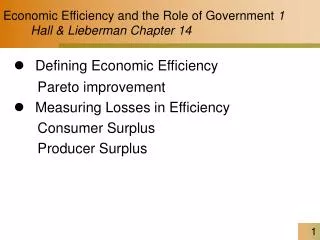 Economic Efficiency and the Role of Government 1 Hall &amp; Lieberman Chapter 14