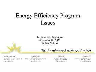 Energy Efficiency Program Issues