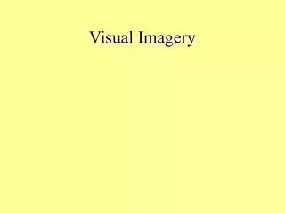 Visual Imagery