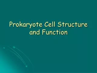 Prokaryote Cell Structure and Function