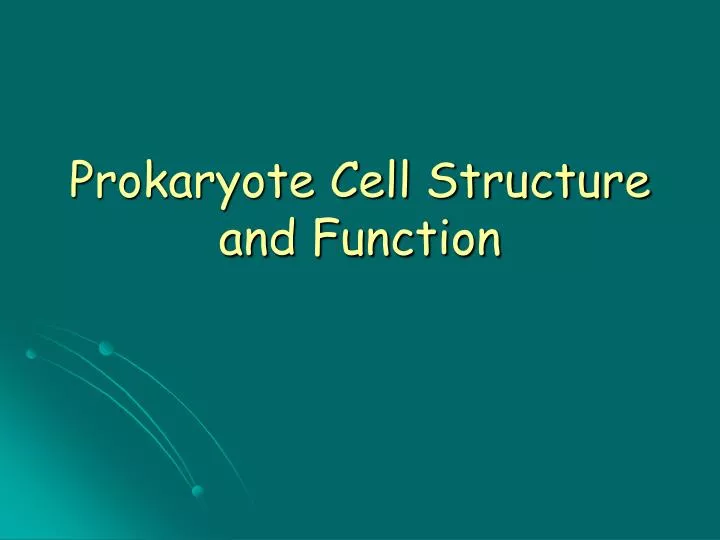 prokaryote cell structure and function