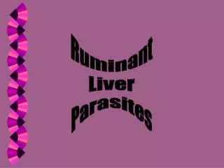 Ruminant Liver Parasites