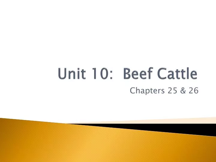 unit 10 beef cattle