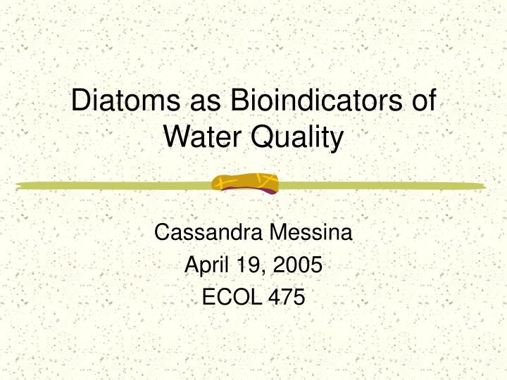 diatoms as bioindicators of water quality
