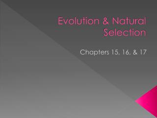 Evolution &amp; Natural Selection