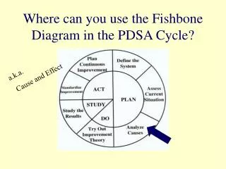 Where can you use the Fishbone Diagram in the PDSA Cycle?