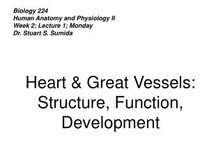 Biology 224 Human Anatomy and Physiology II Week 2; Lecture 1; Monday Dr. Stuart S. Sumida