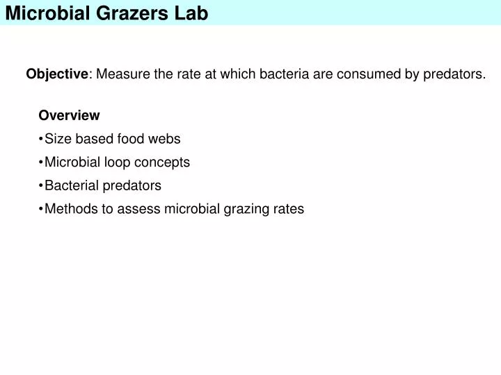 microbial grazers lab