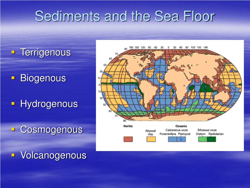 PPT - Sediments and the Sea Floor PowerPoint Presentation, free ...