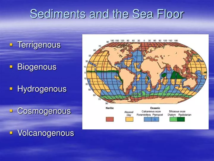 sediments and the sea floor