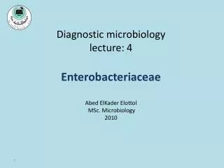 Diagnostic microbiology lecture: 4 Enterobacteriaceae Abed ElKader Elottol MSc . Microbiology 2010