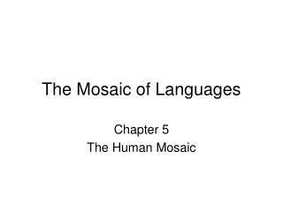 The Mosaic of Languages