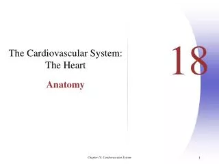 The Cardiovascular System: The Heart Anatomy