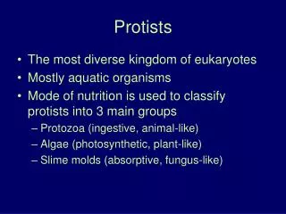 Protists