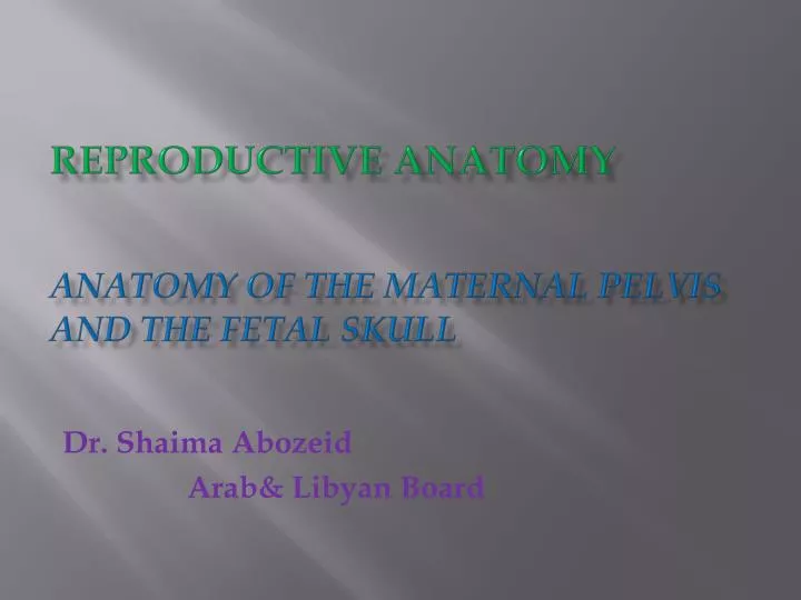 reproductive anatomy anatomy of the maternal pelvis and the fetal skull