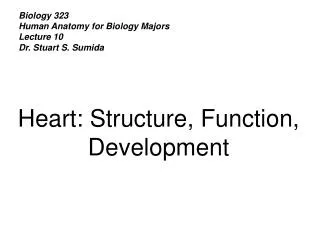 Biology 323 Human Anatomy for Biology Majors Lecture 10 Dr. Stuart S. Sumida