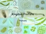 Kingdom Protista - slide 1