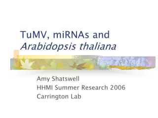 TuMV, miRNAs and Arabidopsis thaliana