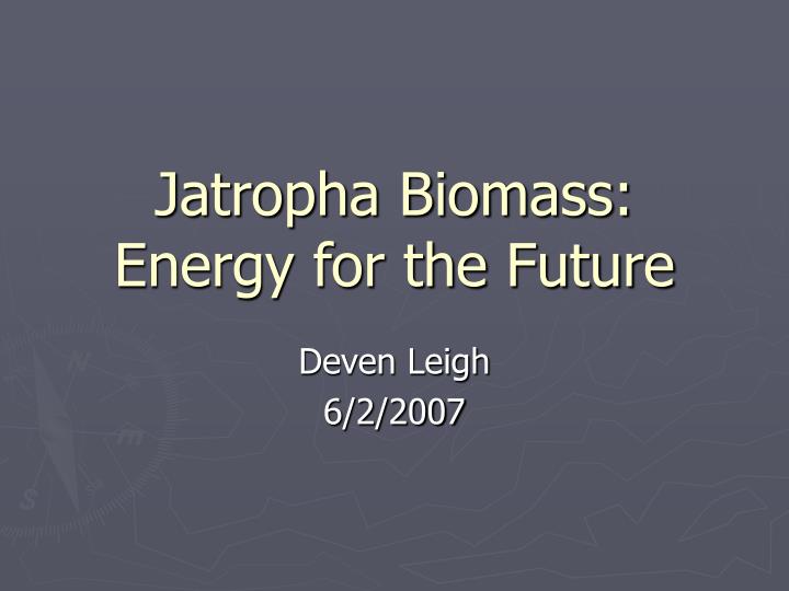jatropha biomass energy for the future