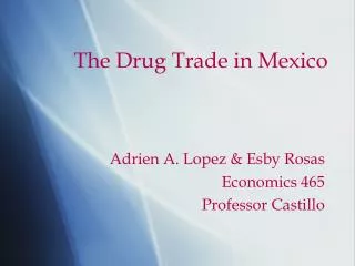 The Drug Trade in Mexico