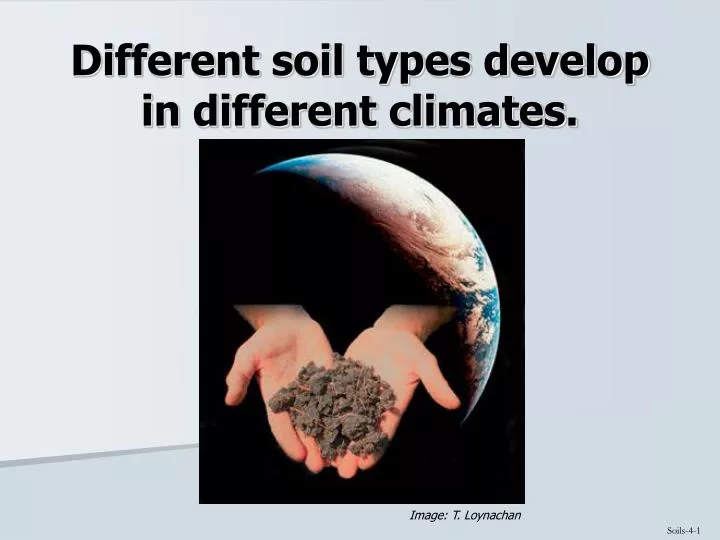 different soil types develop in different climates