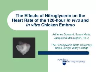 The Effects of Nitroglycerin on the Heart Rate of the 120-hour in vivo and in vitro Chicken Embryo