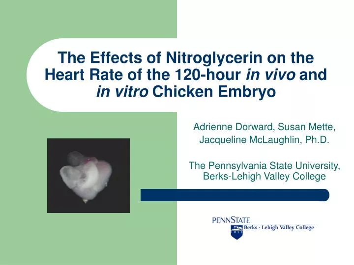 the effects of nitroglycerin on the heart rate of the 120 hour in vivo and in vitro chicken embryo