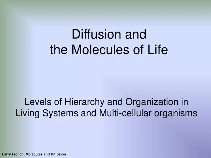 diffusion and the molecules of life