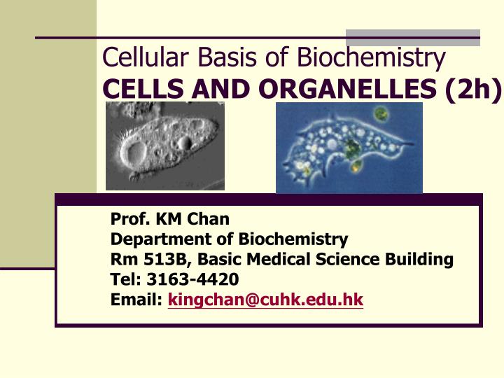 cellular basis of biochemistry cells and organelles 2h